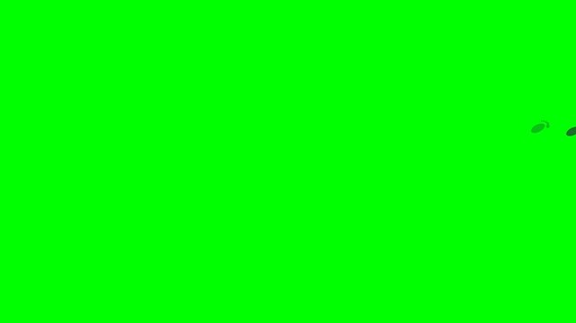 Footprints walking animation sequence on a green screen