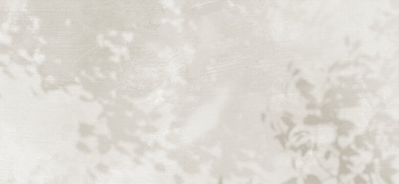 A soft, light beige plaster wall texture overlaid with delicate, dappled shadows from tree leaves.