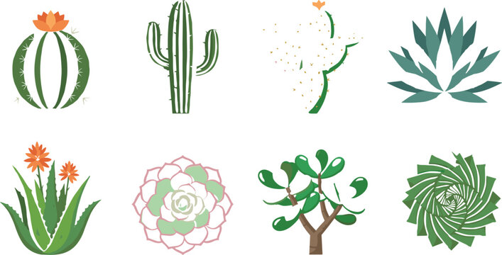 Desert Plants and Succulents Vector Collection with Cactus Aloe Agave and Botanical Icons
