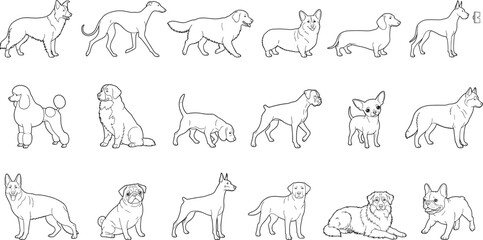 Obraz premium Hand Drawn Dog Breeds Collection Line Art Vector Set with Popular Domestic Canine Illustrations