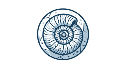 Detailed ammonite fossil shell spiral. © Andre