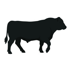 Obraz premium Angus bull vector silhouette design for livestock and ranching