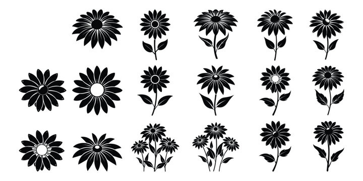 Black Eyed Susan Flower Silhouette Bundle Vector Collection