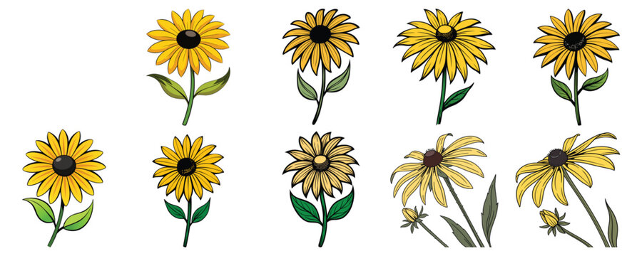 Elegant Black Eyed Susan Floral Vector Pack