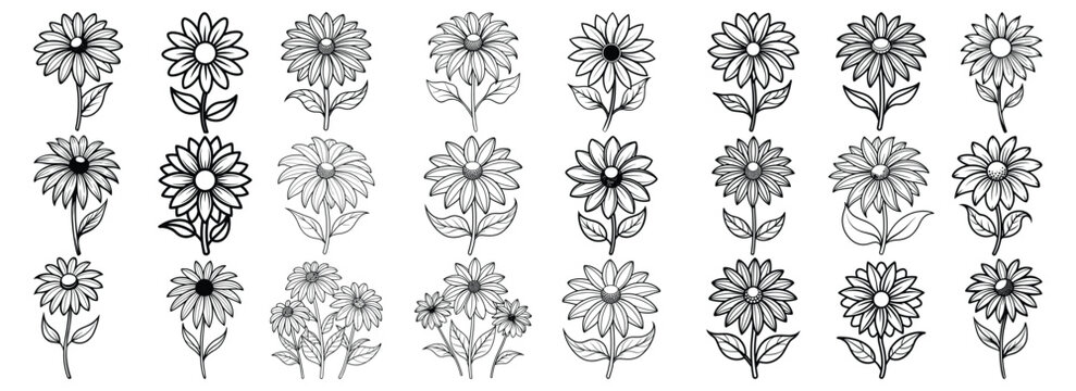 Black Eyed Susan Floral Outline Bundle for Cricut