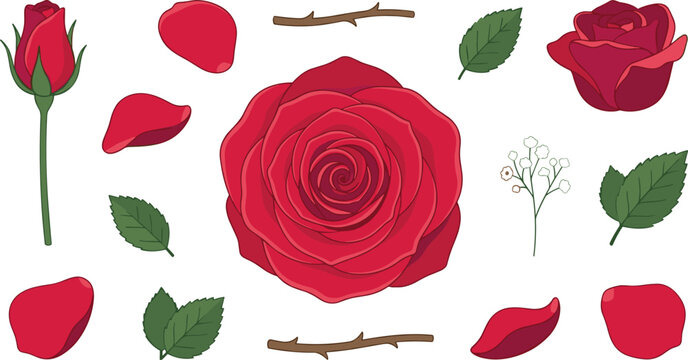 Red rose vector set featuring blooming flowers, a fresh rosebud on a stem, scattered petals, green leaves, thorny branches, and small white blossoms.