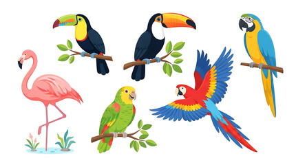 Obraz premium Tropical bird set. Exotic parrot collection.