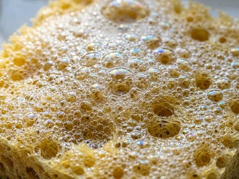 Close-up of sponge with bubbles.