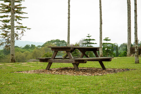 Wooden picnic table set on green grass under tall trees