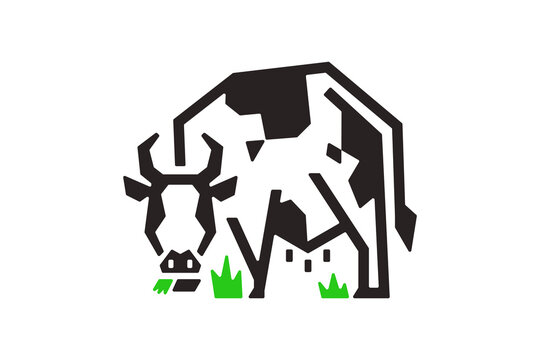 Minimalist Holstein Cow Grazing Vector Illustration. Dairy Cow Vector Illustration in Modern Flat Style for Organic Farm and Dairy Design