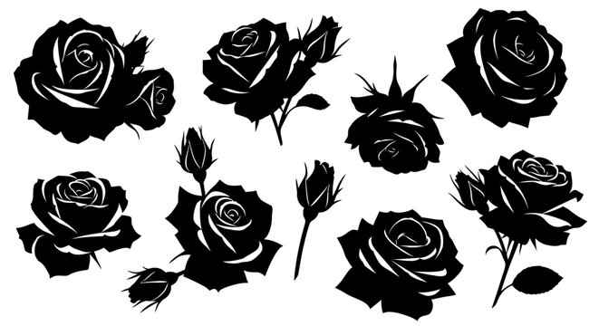 Minimalist solid white background as high-resolution vector illustration. Clean empty canvas for digital art, graphic design, and professional presentation backdrops with copy space.
