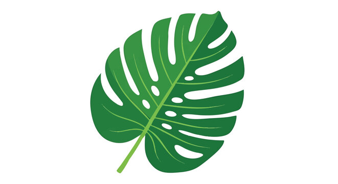 Vibrant Green Monstera Leaf Illustration on White Background.