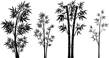 Obraz premium Collection of black bamboo tree silhouettes with leaves isolated on white background for zen nature designs