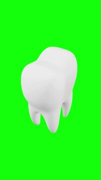 healthy teeth animated on green screen background, vertical video