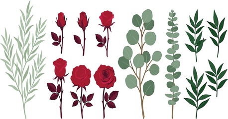 Red rose vector elements set with eucalyptus branches and green leaves clip art collection for wedding floral design © Mijanur