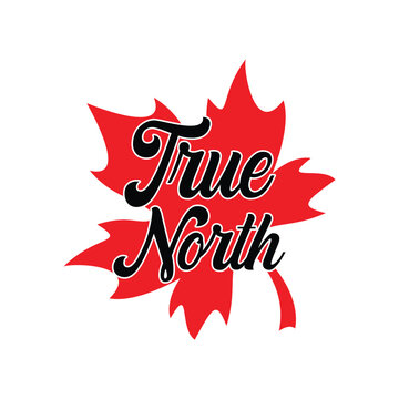 True north