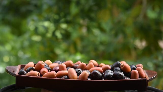 Date palm or Phoenix dactylifera fruits placed on floating vessel against natural backdrop.