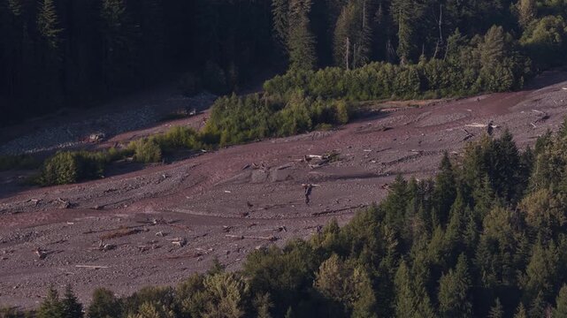 Summer aerial close up of muddy Nisqually river in Mount Rainier National Park with gravel riverbed and forested riverbank
