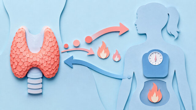 Thyroid gland and weight metabolism connection illustration with layered paper craft style, showing hormone signals, body silhouette, scale, and flame icons on blue background