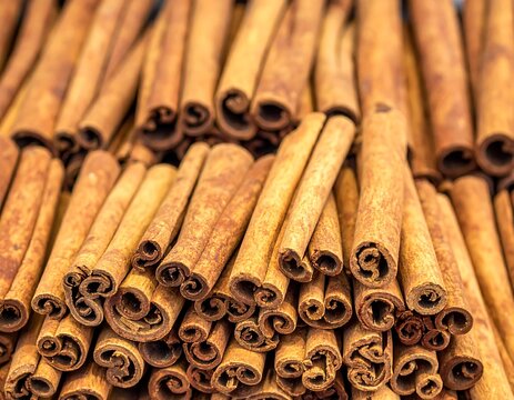 Dried cinnamon sticks aromatic spice bark texture background