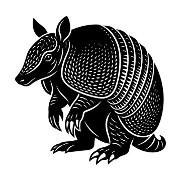 Armadillo in defensive posture curling into a ball. Black and white armored mammal protecting itself from predators.