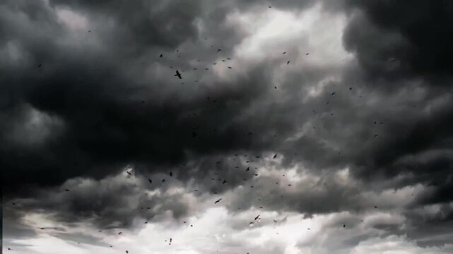 Realistic storm clouds timelapse.