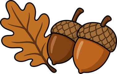 Autumn Acorns with Oak Leaf © Sojung