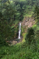 Obraz premium The beauty and romance of the Muncar Waterfall and the river in Petungkriyono, Pekalongan, Indonesia. The atmosphere at this waterfall is wonderfully cool. 