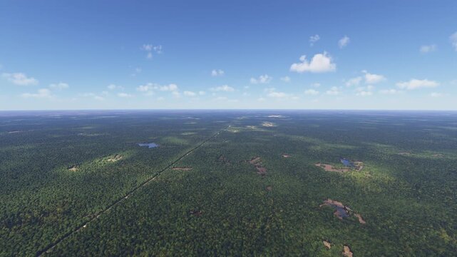 Drone aerial shot of Solana State Forest in McGrath. Minnesota. United States