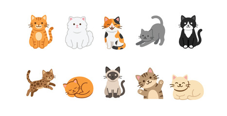 Fototapeta premium Playful Cute Cat Vector Cartoon Design