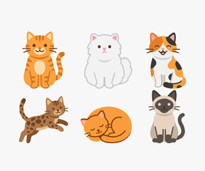 Fototapeta premium Cartoon Cat Icon and Mascot Design