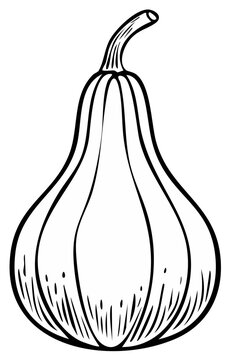 Detailed Outline Drawing of a Long Gourd Vegetable with Stem
