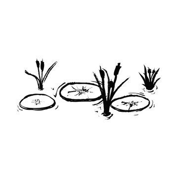 Hand drawn ink illustration of floating lily pads and tall cattails in a calm pond