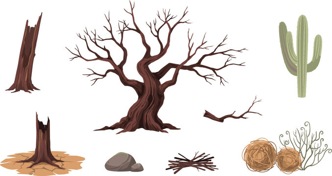Arid Desert Vegetation Vector Set with Bare Dead Tree Snags Broken Trunks Cactus Tumbleweed and Dry Sticks for Game Environment Landscape Illustrations
