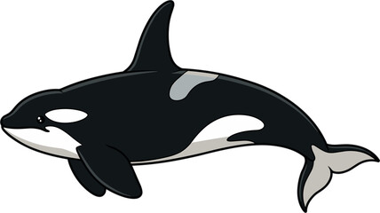 Low poly orca vector illustration with geometric flat design killer whale marine life graphic element © Siddika