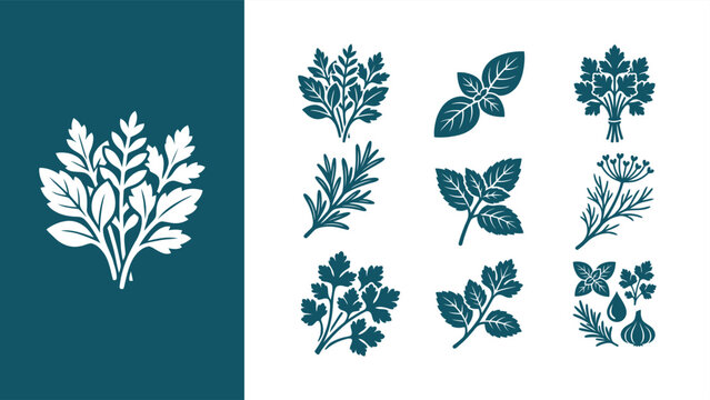 Vector culinary herbs icon set featuring parsley, basil, rosemary, mint, and dill. Flat vector illustration EPS 10.