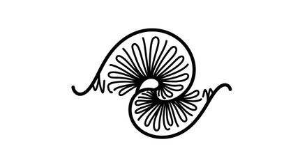 Black line art nautilus shell spiral. © Slowme
