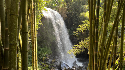 Waterfall framed by green tropical bamboo stalks © Manda Art