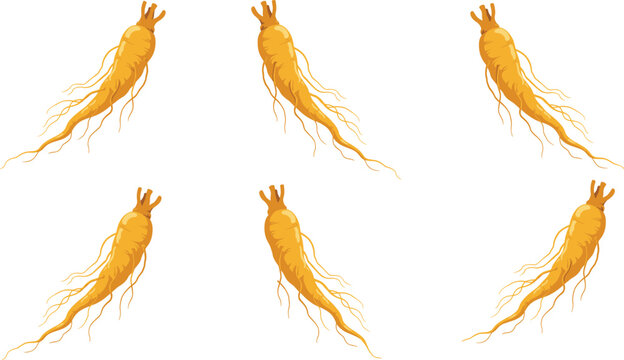 Premium Fresh Ginseng Root Vector Icon Set with Detailed Fibrous Tendrils for Asian Traditional Medicine Branding, Healthy Herbal Supplements, and Wellness Product Packaging
