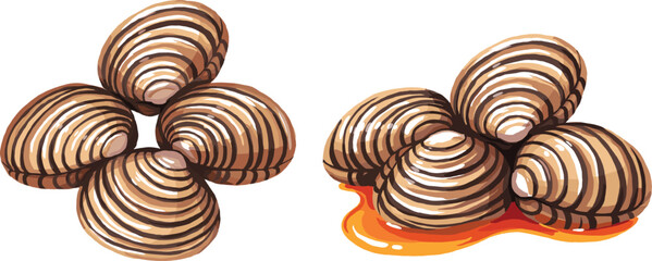 Fresh Clam Seafood Vector Set with Grouped Raw Bivalve Shells and Sauced Cockles for Marine Product Packaging and Restaurant Menu Graphic Designs © EdGe Creative