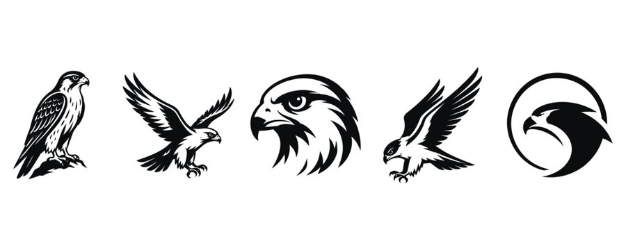 Set of falcon and hawk silhouettes in various poses for logo design