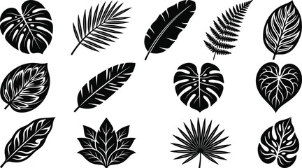 Set of black tropical leaf silhouettes including monstera, palm, and fern leaves isolated on a white background, for botanical projects © MD