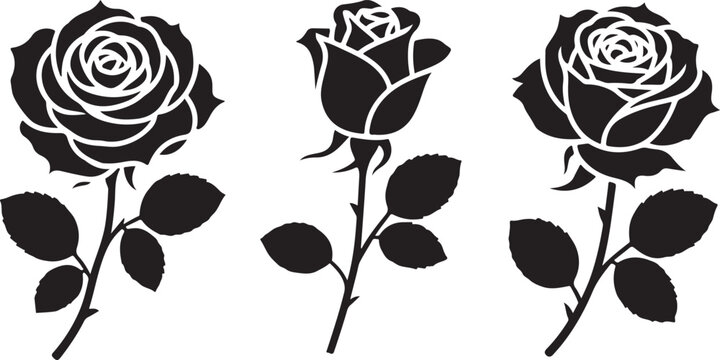 Black and white rose bouquet illustration