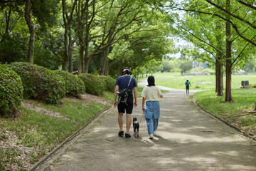 Fototapeta premium 夏の朝の公園で犬を連れて散歩する中年夫婦の姿