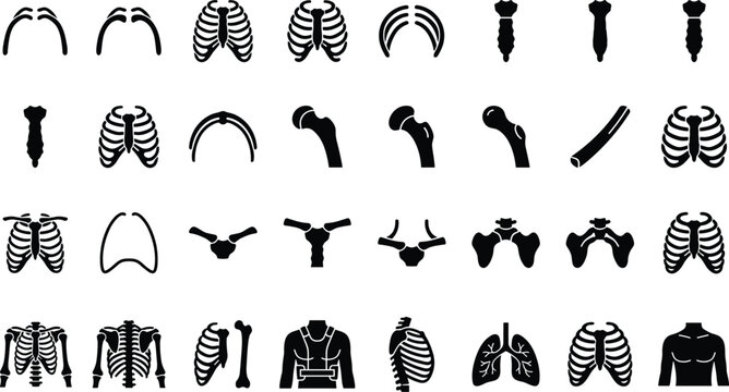 Set of human rib cage and bone icons, including thoracic cage, sternum, clavicle, and shoulder joint