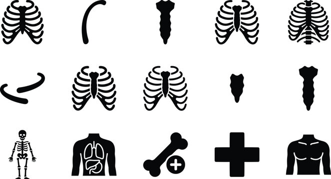 Set of rib cage and human anatomy icons, including sternum, skeleton, lungs, and medical cross symbols