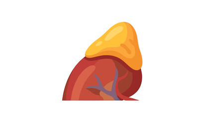 Yellow Triangular Human Adrenal Gland Anatomy Icon © Dreamfly