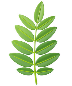 3D leaf rowan in green color, isolated on background. Botanical leaves for eco design, spring, summer, autumn, nature, organic, gardening, stickers, banners. 3d render
