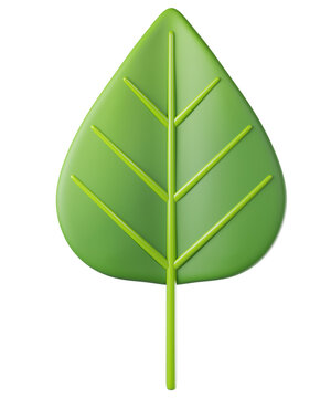 3D leaf poplar in green color, isolated on background. Botanical leaves for eco design, spring, summer, autumn, nature, organic, gardening, stickers, banners. 3d render
