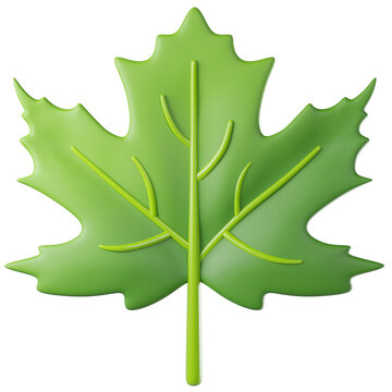 3D leaf maple in green color, isolated on background. Botanical leaves for eco design, spring, summer, autumn, nature, organic, gardening, stickers, banners. 3d render
